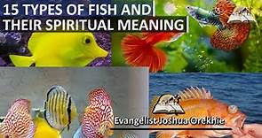 15 Types of Fish and Their Spiritual Meanings - Evangelist Joshua Orekhie