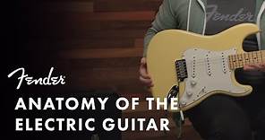 Anatomy of the Electric Guitar | Fender