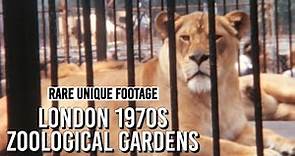 London Zoo in the 1960s: A Look Back at How Animals Were Managed