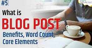 What is Blog Post? Benefits of Blogpost, Word Count, Core Elements Explained