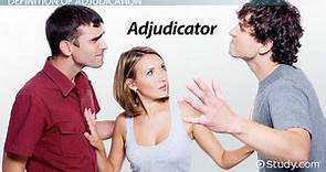 Adjudication | Definition, Types & Examples