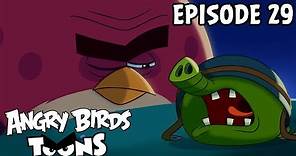 Angry Birds Toons | Nighty Night Terence - S1 Ep29