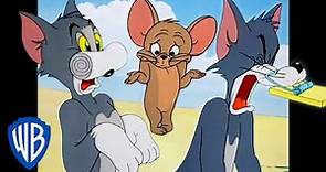 Tom y Jerry en Español | Tom lo pilla 💥 | WB Kids