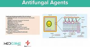 Antifungal drugs Pharmacology, Classifications, Examples, Mechanism of action and Side effects