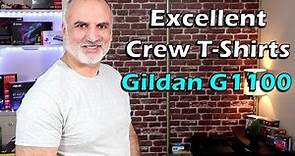 Gildan Crew T-Shirts G1100 Try-On, size and review