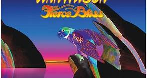 Fierce Bliss - Ann Wilson