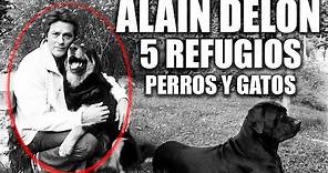ALAIN DELON con 83 AÑOS y 5 REFUGIOS !! ((INCREIBLE HISTORIA))