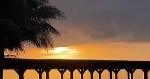 🌴 El Dorado Seaside Palms: 1. It has more than 10 thousand palm trees. 2. It is the first El Dorado built in 1993. 3. The Cotorros bar was the hotel's first bar. 4. Awarded by AAA with 4 diamonds. 5. Named by forbes.com as one of the most romantic resorts in the world. #ExperienceElDorado 🌴 El Dorado Seaside Palms: 1. Cuenta con más de 10 mil palmeras. 2. Es el primer El Dorado construído en 1993. 3. El bar de Cotorros fue el primer bar del hotel. 4. Galardonado por la AAA con 4 diamantes. 5.