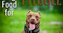 10 Best Dog Food for Pitbulls in May 2024 Revealed!