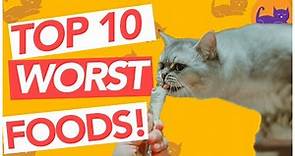 TOP 10 WORST Foods for Cats - AVOID AT ALL COSTS