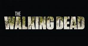 The Walking Dead Temporada 10 Capitulo 22