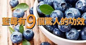 藍莓功效與作用及禁忌, 小小藍莓, 有9個驚人的功效