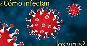¿Cómo infectan los virus?