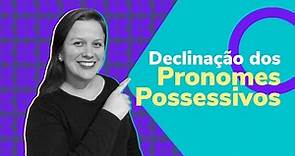 Declinação de pronomes possessivos | Alemão | Aula #55