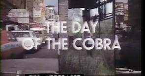 Day Of The Cobra (1980) Trailer