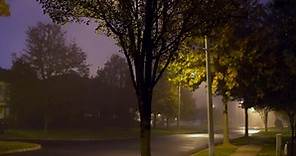 Traffic on Night Road with Street Lamps in Fog