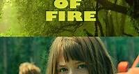 Riddle of Fire (Film, 2024) — CinéSérie