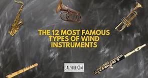 40 Different Wind Instruments (From Woodwind to the Brass Family)