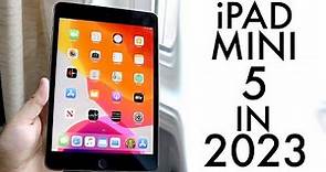 iPad Mini 5 In 2023! (Still Worth Buying?) (Review)