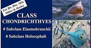 Class Chondrichthyes (Subclass Elasmobranchii & Holocephali)/ BS,BSc, MSc/ Miller & Harley
