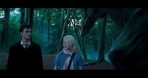 Luna Lovegood - Harry Potter e l'Ordine della Fenice ITA Fandub