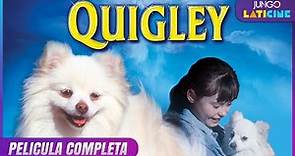 Quigley | HD | Película Comedia Completa en Español Latino
