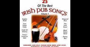 25 Of The Best Irish Pub Songs Vol.1 | Full Album | #stpatricksday