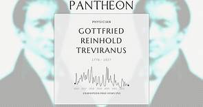 Gottfried Reinhold Treviranus Biography - German physician, naturalist, and proto-evolutionary biologist