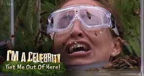 Ferne, Spencer and Vicky Face Terrifying Bushtucker Trial | I'm A Celebrity... Get Me Out Of Here!