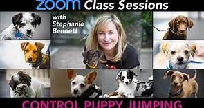Believe In Dog Training Zoom Class Sessions: Control Puppy Jumping