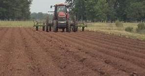 Cotton planting nearly complete in Louisiana