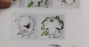 Newly packaged sets of 5... - Lynn Bailey - Printmaker
