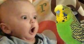 30 Funniest Cute Baby Compilation 😂😂😂 Fun and Fails Baby Video