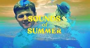 The Beach Boys – Sounds Of Summer: The Very Best Of The Beach Boys
