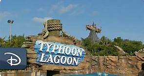 Disney's Typhoon Lagoon Reopens | Walt Disney World Resort