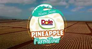North Shore Dole Pineapple Farm Tour
