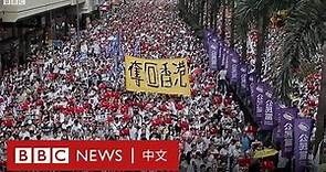 逃犯條例：香港百萬大遊行抗議修訂《逃犯條例》－ BBC News 中文 ｜一國兩制｜