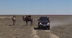 El Mar de Aral en Asia Central se reconecta con el agua y la vida