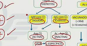 Hepatitis - Mapa mental - Dr. Jaime Torres