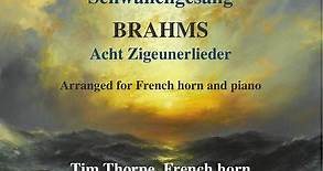 Schubert, Brahms, Tim Thorpe, Christopher Williams - Schwanengesang; Acht Zigeunerlieder