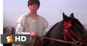 The Black Stallion Returns (1983) - Winning The Race Scene (11/12) | Movieclips