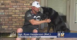 Military Dog Reunited With Soldier 5 Years Later