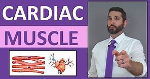Cardiac Muscle Tissue Anatomy & Physiology Review Lecture