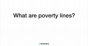 What Are Poverty Lines?
