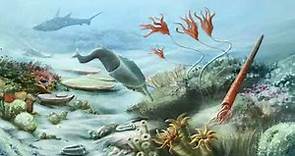 History of the Earth Part 2: Phanerozoic Eon – Paleozoic Era