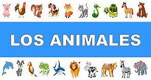 The Animals in Spanish 🦁 🐷 🐴 🐬 🐢