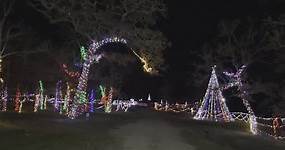 Light up your holidays at Christmas at the Tree Farm