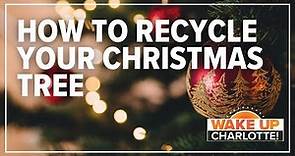 Taking down your Christmas tree? Here's how to properly dispose of it