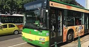 Macau City Bus No.10A【澳門新時代公共汽車 No.10A】
