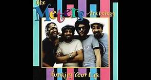 The Meters - Funky Miracle
